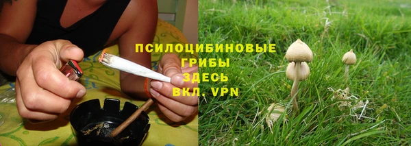 дурь Абаза