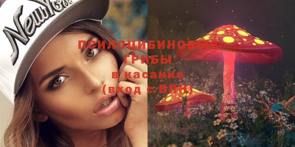 дурь Абаза