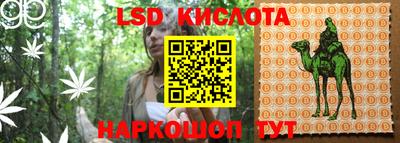ешки Волгодонск