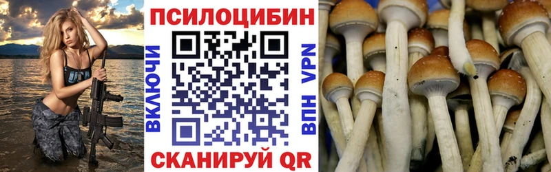 Псилоцибиновые грибы Psilocybe  Кызыл 