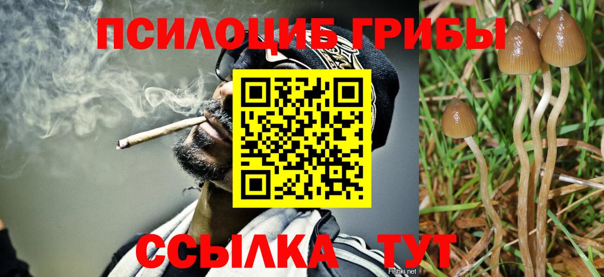 Галлюциногенные грибы Psilocybine cubensis  Вход с VPN  Кызыл 